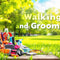 Pet Walking And Grooming