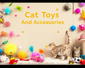 Collection image for: Cat Toys And Accessories